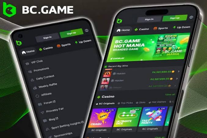 Experience the Thrill of Gaming at BC.Game Online Casino